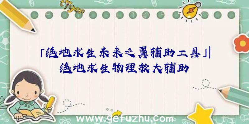 「绝地求生未来之翼辅助工具」|绝地求生物理放大辅助